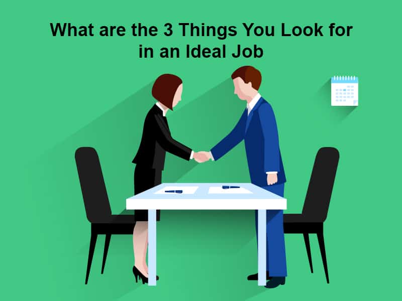 What are the 3 Things You Look for in an Ideal Job