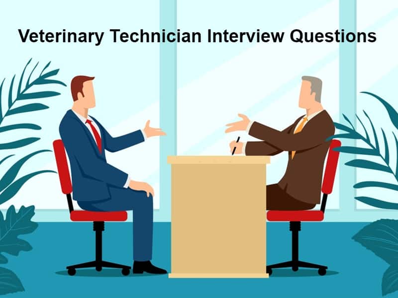 Veterinary Technician Interview Questions