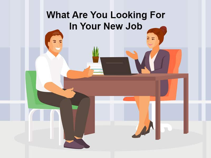 What Are You Looking For In Your New Job