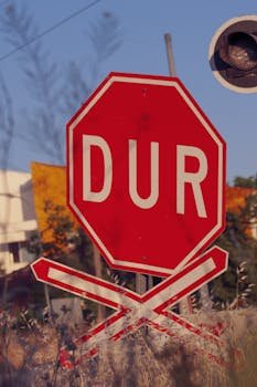 Key Vulnerabilities Exploited by Attackers