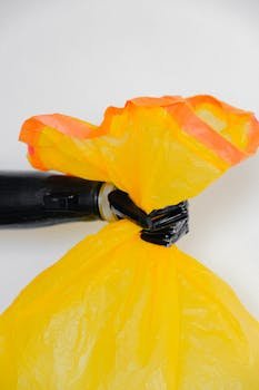 Projected Player Count for 2025