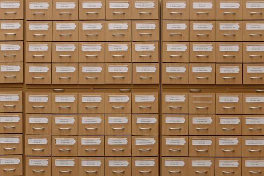 Prep My Career image