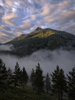 Coverage and Antennas