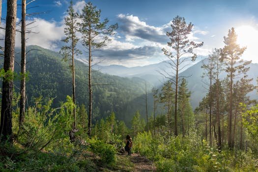 Key Features to Consider in Budget Routers