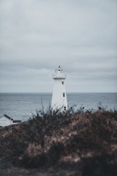 Prep My Career image