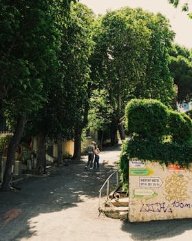 Speed and Stability Improvements