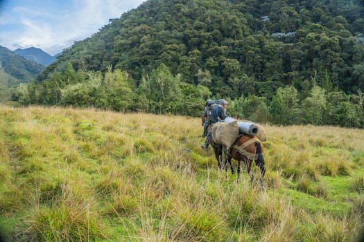 Prep My Career image