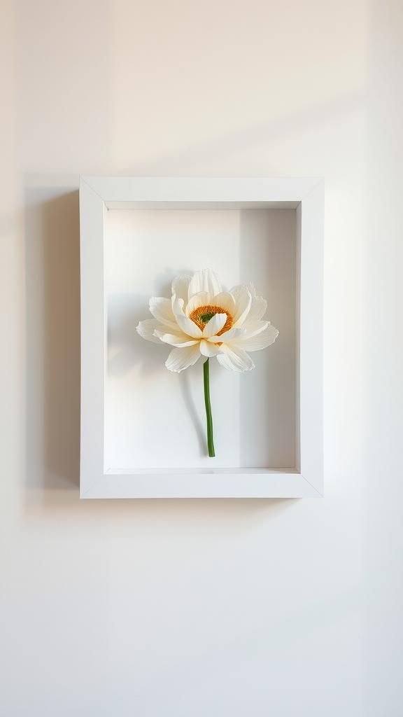 Lace-Trim Anemone In A Minimal Shadow Box