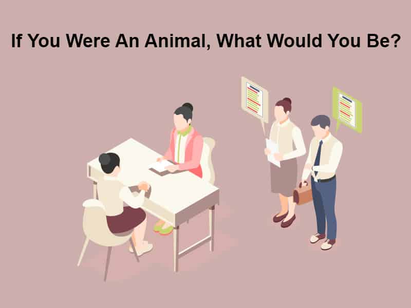 If You Were An Animal What Would You Be