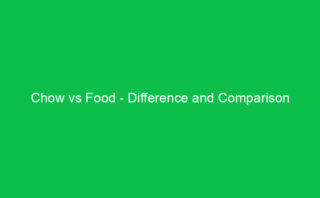 Gabby vs Gaby – Difference and Comparison