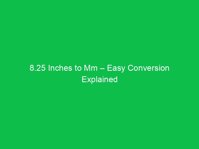 Bud vs Buddy – A Complete Comparison