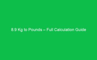 29 Oz to Cups – Full Calculation Guide