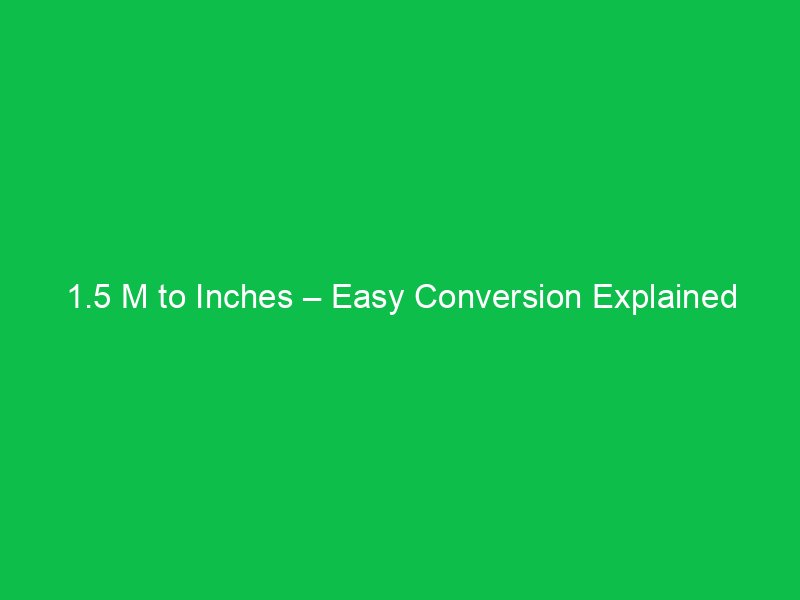 140 Meters to Feet – Answer and Calculator Tool