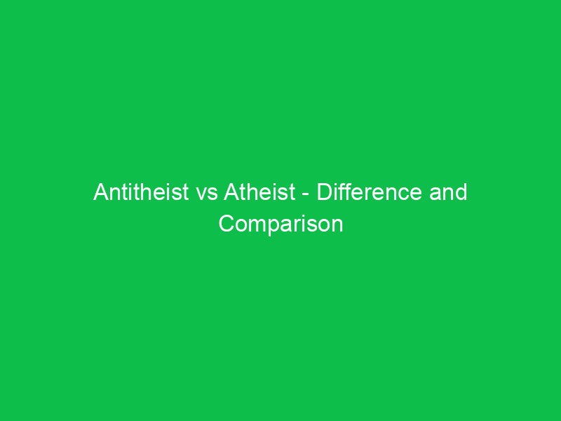Router vs switch vs hub: differences in plain English